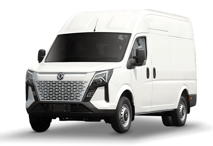 Big Van Cargo
